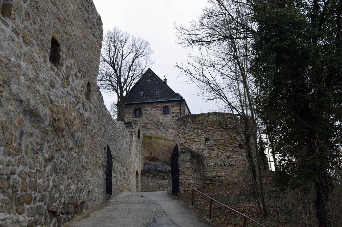 Burg-Greifenstein (C) MaBoXer