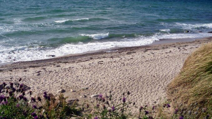 Strand auf der Insel zum Beispiel am Balaton © Susanne Bockelmann